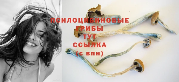 мяу мяу мука Белокуриха