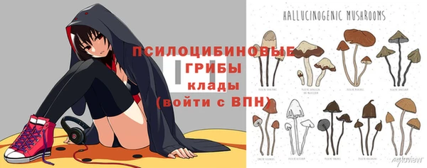 прущие крисы Беломорск