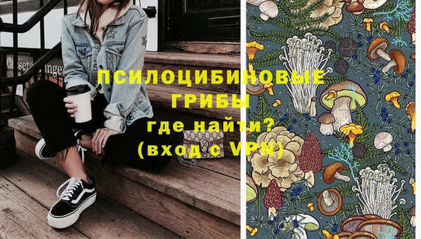 мяу мяу мука Белокуриха