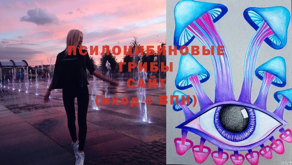 мяу мяу мука Белокуриха