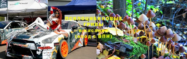 прущие крисы Беломорск