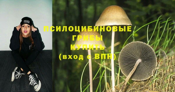 прущие крисы Беломорск