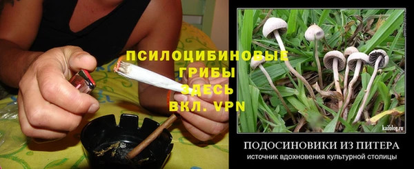 прущие крисы Беломорск
