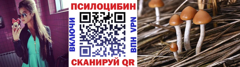Галлюциногенные грибы ЛСД Котельниково