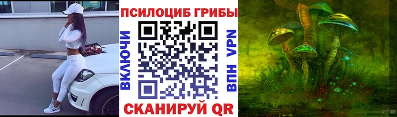Галлюциногенные грибы Psilocybine cubensis  наркота  Котельниково 